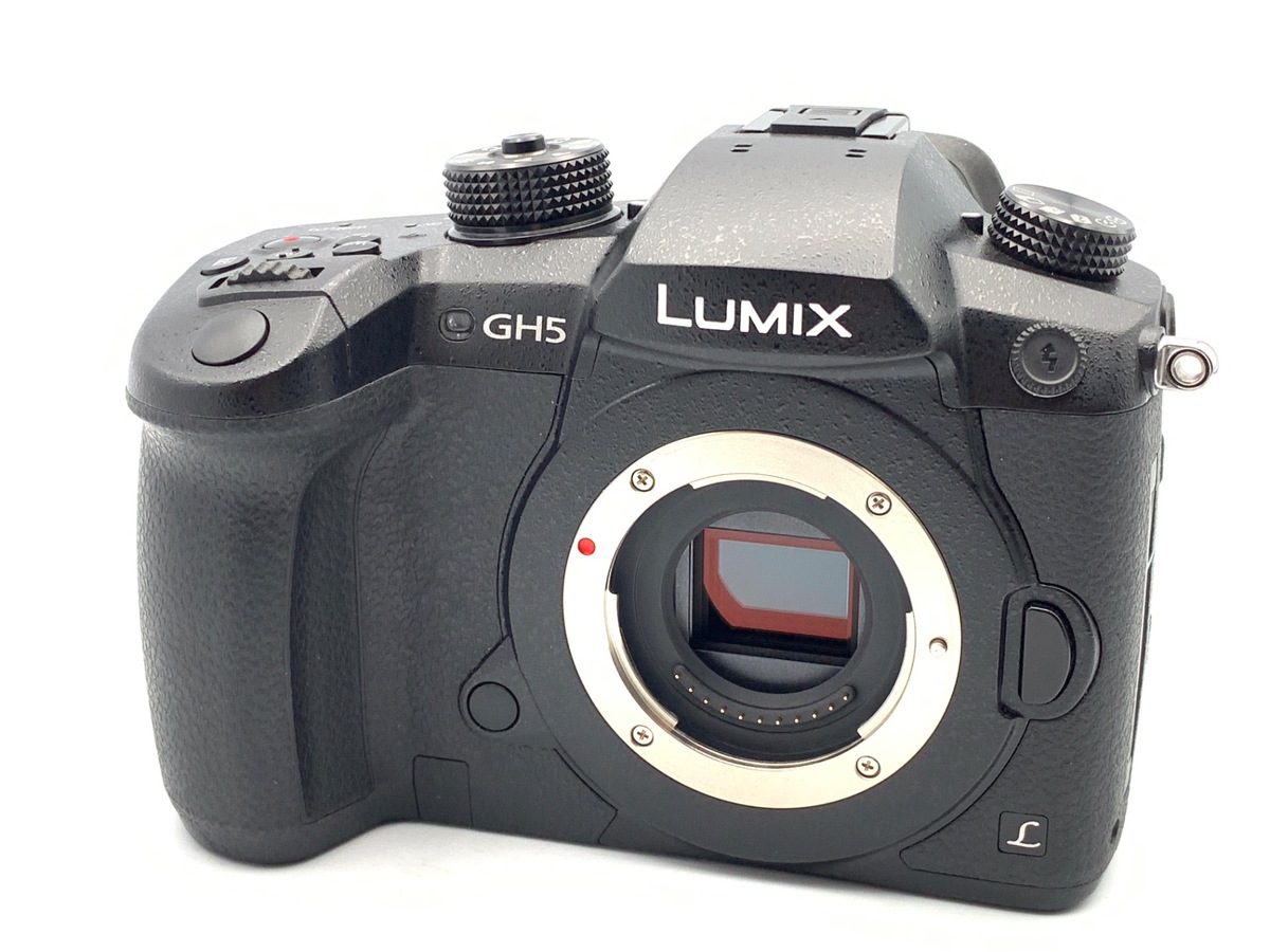 DC-GH5-K ブラック ボディ【2033万画素】