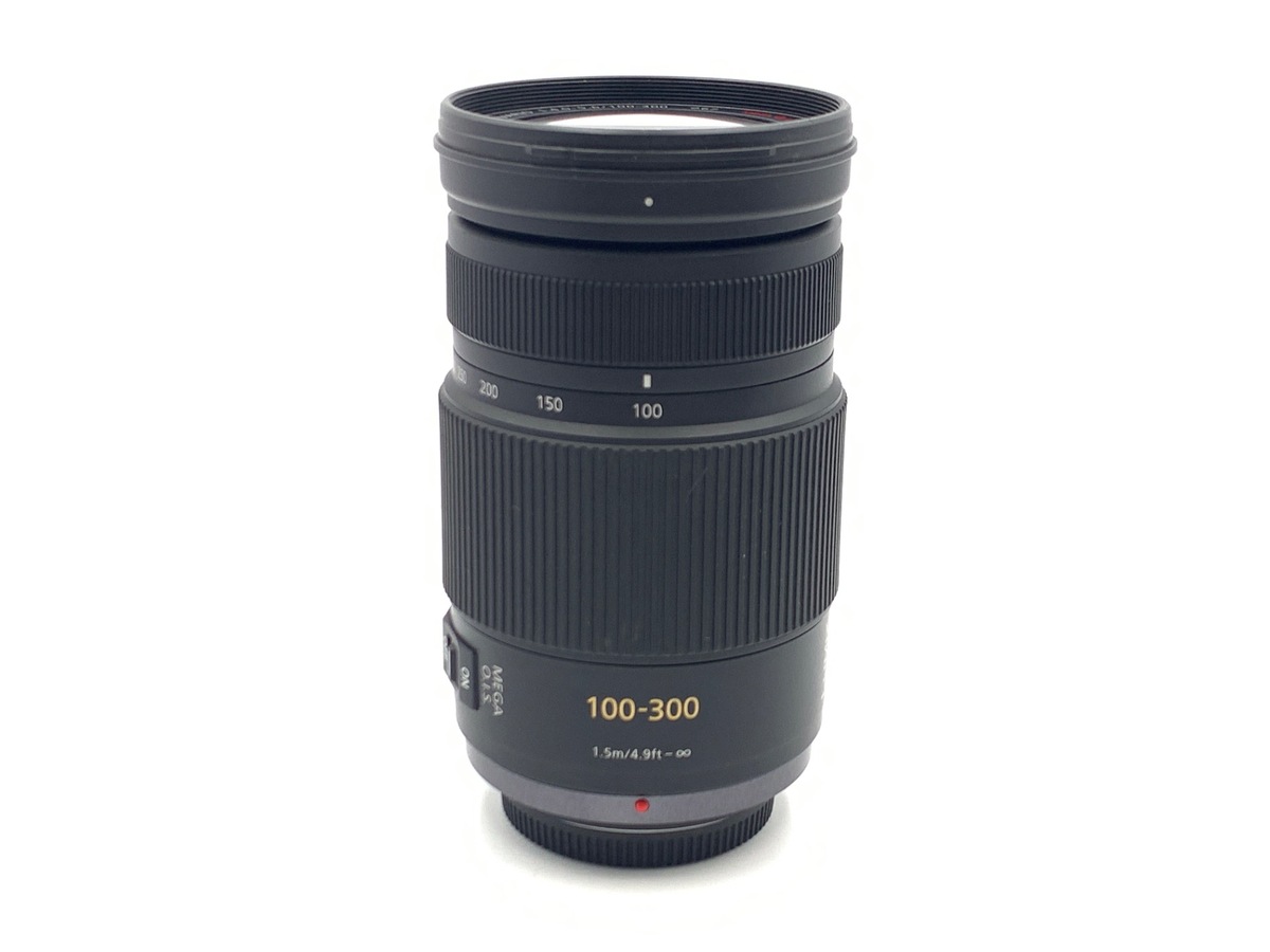 �p�i�\�j�b�N LUMIX G VARIO 100-300mm/F4.0-5.6/MEGA O.I.S. [H-FS100300]