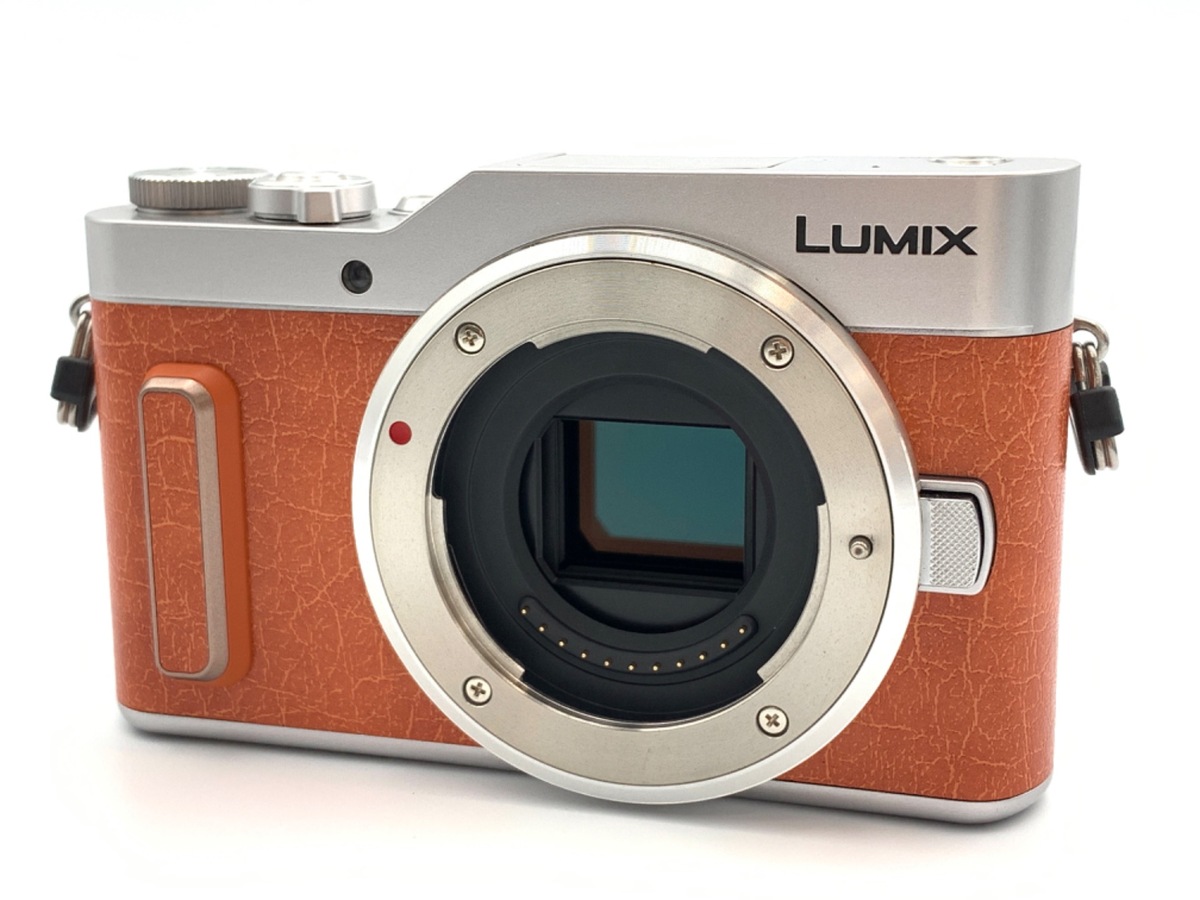 価格.com - パナソニック LUMIX DMC-GH1 ボディ 純正オプション