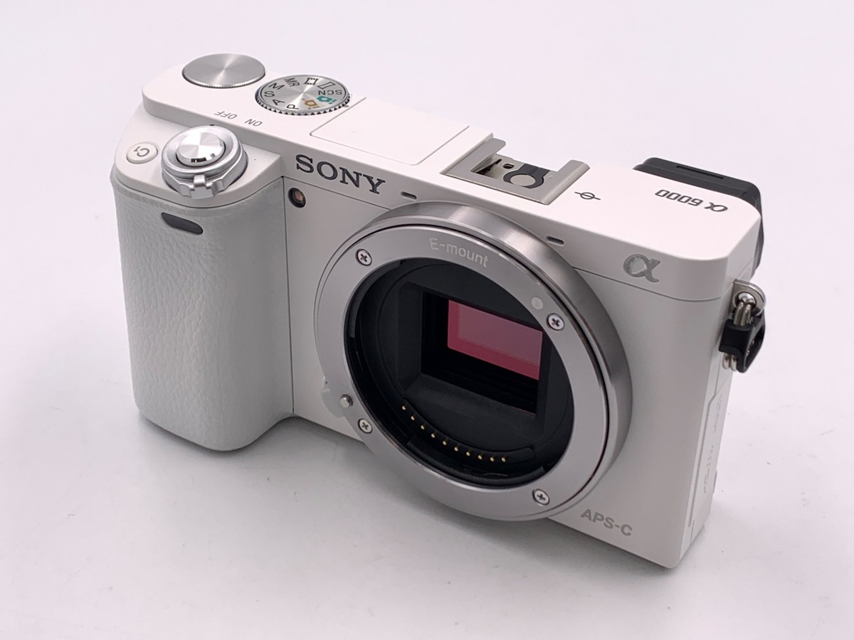 6000 ި ܲ ILCE-6000y2430fz