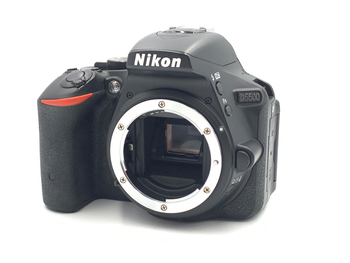 Nikon D300s 一眼レフカメラセット 20090730132954_701_.jpg