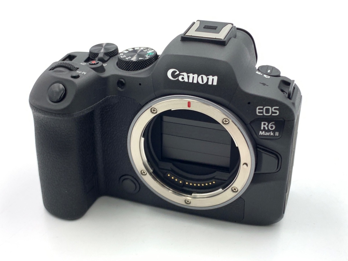 美品！ Canon EOS 6D 本体 + スピードライト 580EX 中古：A(美品