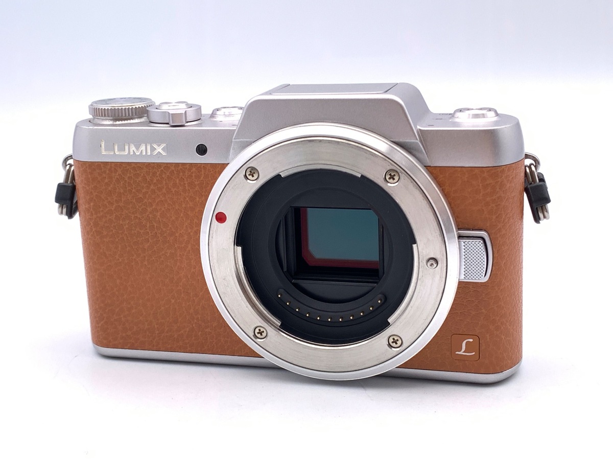 価格.com - パナソニック LUMIX DC-GH5M2 ボディ 純正オプション